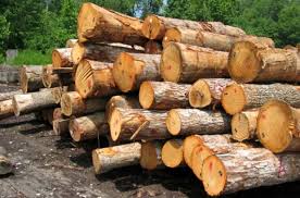 مقاومة الخشب